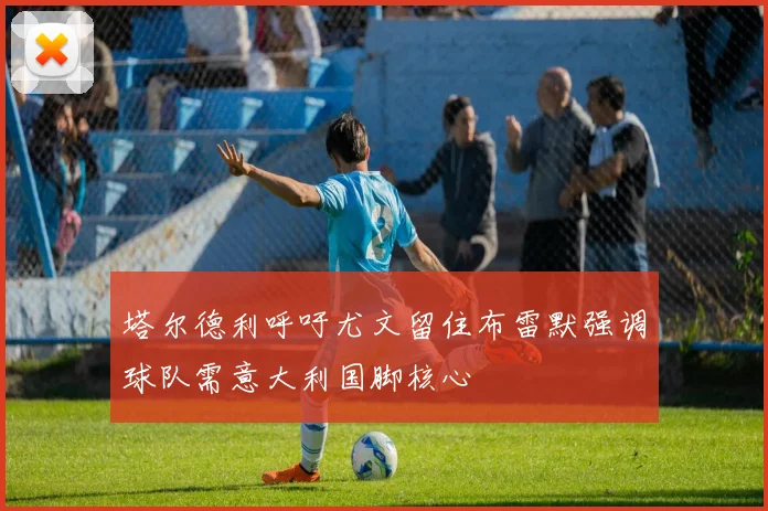 塔尔德利呼吁尤文留住布雷默强调球队需意大利国脚核心