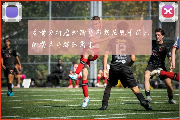 名嘴分析詹姆斯与布朗尼联手热火的潜力与球队需求