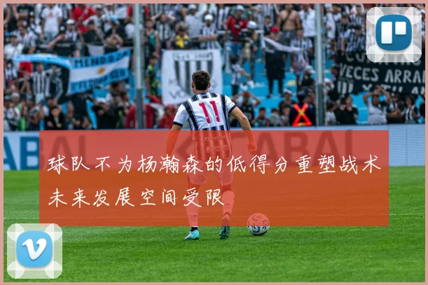 球队不为杨瀚森的低得分重塑战术未来发展空间受限